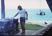 Teriyaki Tang in Maui