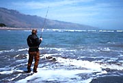 Bolinas Bay Bassing
