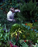 Man Against the Jungle